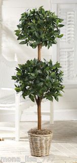 NEW 48 1/2 TALL FAUX TOPIARY PLANT TREE FAKE BAY LEAF FIREPLACE FRONT