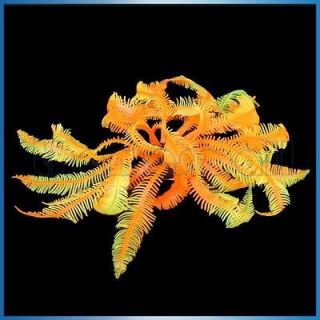 Artificial Fake Coral for Fish Tank Aquarium Decoration Garden Pool