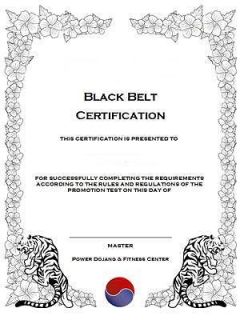 Tang Soo Do Ju Jitsu Nin Jitsu Certificate Templates On CD Rom