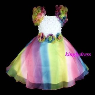 NEW Flower Girl Pageant Wedding Party Dancing Dress Multicolor Wears