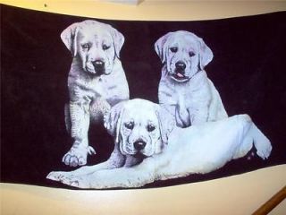 White Labrador Pups Beach Towel 30 x 60