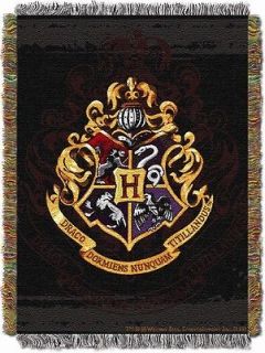 Potter Hogwarts Door Metallic Tapestry / Throw Blanket / Wall Hanging