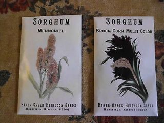 or BROOM CORN SORGHUM by Baker Creek Heirloom Seeds 50+ Seeds NON GMO