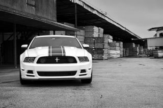 BOSS 302 HD Poster Muscle Car Print multiple sizes availableNe w