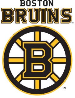 Boston Bruins Iron On T Shirt Transfer Set Style BB02   Logo