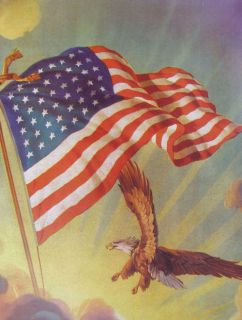 American Flag Eagle. 11 X 14