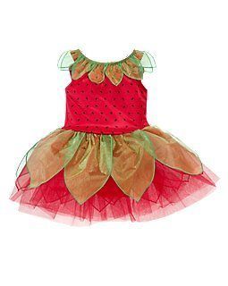 GYMBOREE BERRY BUTTERFLY COSTUME 6 12 18 24 2T 3T NWT