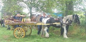 Romany Gypsy Bradford Flat Cart PLANS