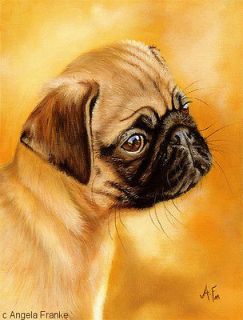oil painting Pug Mops Carlin Hund dog chien Portrait puppy Bild