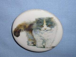 Cat Longhair Grey Calico Magnet Decal Porcelain