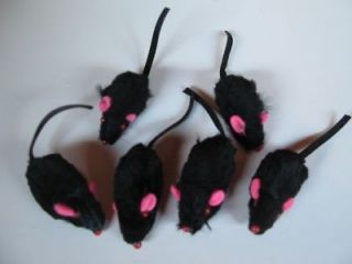Cat toy 20 Black Rattle Furry Mice Catnip Brand new