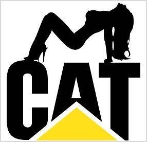 CATERPILLAR Cat Girl Sticker Decal **PICK SIZE** Tool Box Bumper Wall