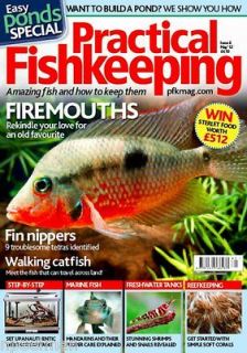 FISHKEEPING MAY 2012 POND ISSUE FIREMOUTHS FIN NIPPERS CATFISH