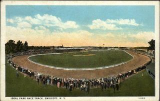 Endicott NY Ideal Park Race Track c1920 Postcard