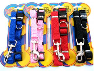 DOG COLLAR and LEAD PUPPY LEAD and COLLAR LEASH COLLAR HIGH QUALITY