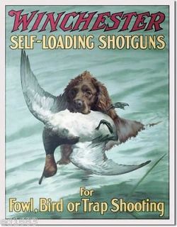 WINCHESTER self loading shotgun trap shoot Fowl Bird hunting dog duck
