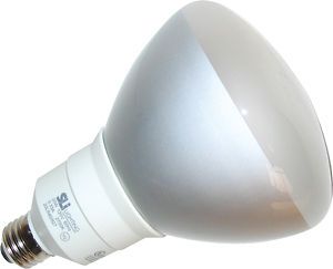 20 Watt (100 Watt Equivalent) Compact Fluorescent Reflector Light Bulb