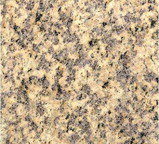 Granite Countertop Tiger Skin