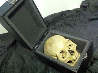 Carrying Case Great For Storing A Real Human Skull