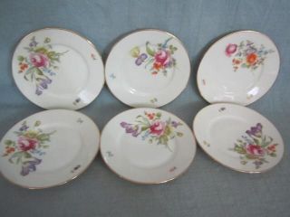 B1 CT Tielsch Altwas ser 6 Floral Dessert Plates