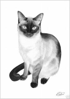SIAMESE CAT A4 Pencil Drawing Print RARE only 100 made