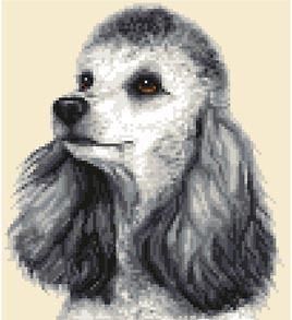GREY WHITE POODLE dog complete counted cross stitch kit