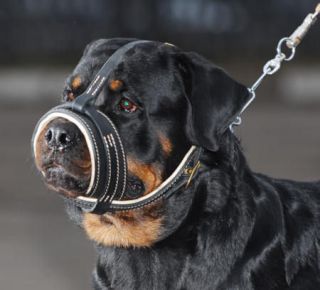 The Royal Soft Leather Dog Muzzle by Dean and Tyler