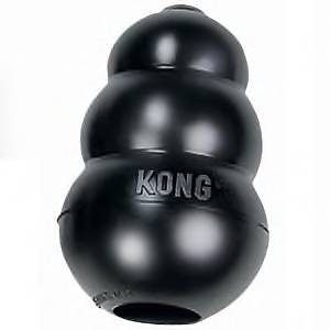 Medium Extreme Kong For Dogs   Worlds Best Dog Toy