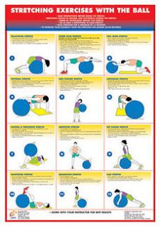 STRETCHING EXERCISES w/ BALL Fitness Wall Chart Poster