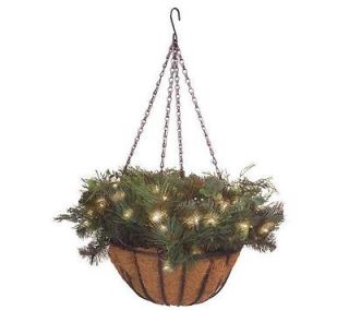 Bethlehem Lights 12 Pre lit Eucalyptus Berry Hanging Basket CHRISTMAS