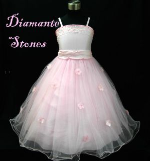PP408 Light Pink Christmas Party Flowers Girls Pageant Dress AGE 2 3 4