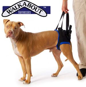 Rear Lifting Dog Harness Used Walkabout Rear Harness