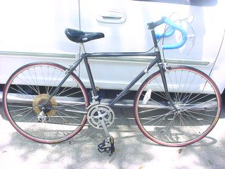 Trek 022 Ishiwata CrMo Road Bike Gold Araya 700c Wheels Bicycle Wings