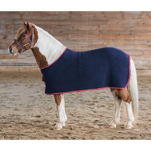Franconia Fleece Pony Dress Sheet Charcoal/purple 54