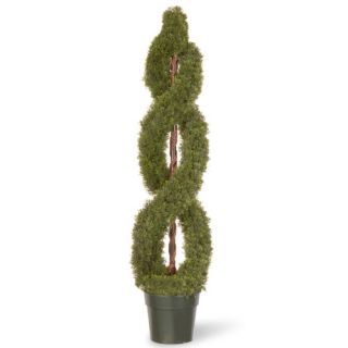 National Tree Co. Cedar Double Spiral Round Topiary in Pot LCDS4 Size 48 H 