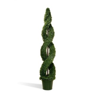 National Tree Co. Cedar Double Spiral Round Topiary in Pot LCDS4 Size 84 H 