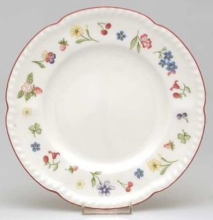 Johnson Brothers Fleurette Salad Plate, Fine China Dinnerware   Floral Rim, Scal