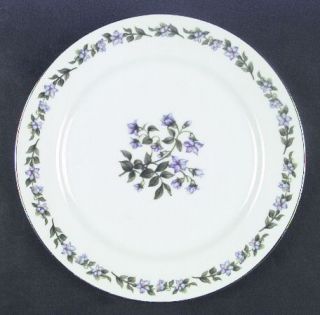 Jyoto Glendale Dinner Plate, Fine China Dinnerware   Violets, Green Leaves