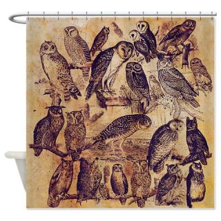  Vintage Owls Shower Curtain  Use code FREECART at Checkout