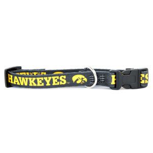 Iowa Hawkeyes Large Dog Collar