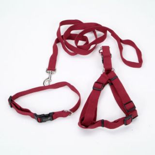 New Earth 3 Piece Soy Dog Leash, Harness and Collar Bundle in Red, 1 Width