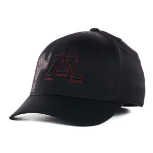 Minnesota Golden Gophers Top of the World NCAA Goner One Fit Cap