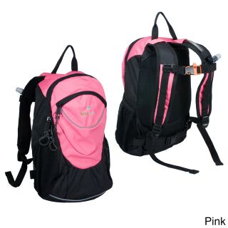 Lucky Bums Kids Cricket Backpack (Blue, PinkDimensions Weight 2 )