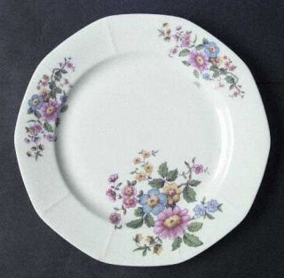 Victoria (Czech) Vit173 Dinner Plate, Fine China Dinnerware   Multisided,Pink,Bl