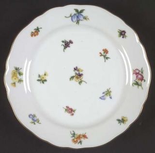 Hutschenreuther Mirabell Salad Plate, Fine China Dinnerware   Maria Theresia, Sc