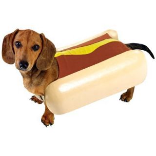 Hotdog Pet Food Dog Costume   S