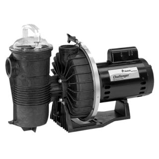 Pentair 346209 Challenger 208230V SingleSpeed High Pressure Pool Pump, 2.5 HP UP Rated