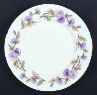 Paragon Highland Queen Dinner Plate, Fine China Dinnerware   Purple Thistle On R