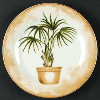 American Atelier Palm Salad Plate, Fine China Dinnerware   Palm Leaves Border, V