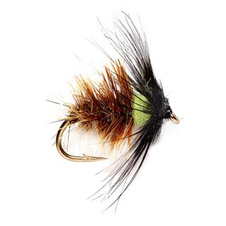 Ians Crunchy Caddis / Ians Crunchy Caddis, 10